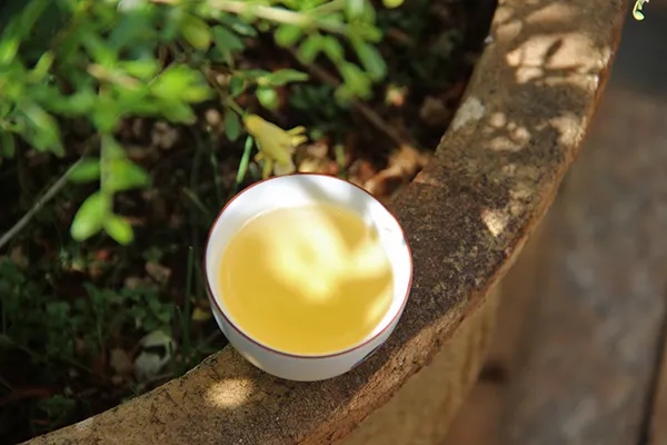 普洱茶越苦澀就代表品質(zhì)越好嗎？