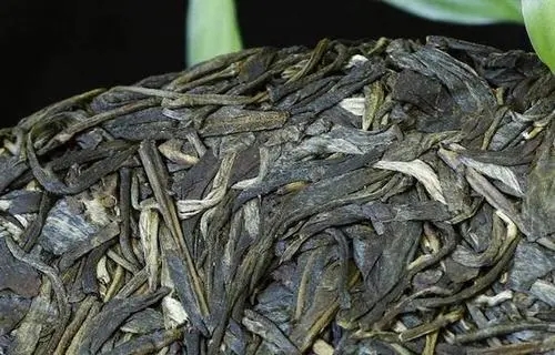 喝普洱茶，一定要喝老茶嗎？