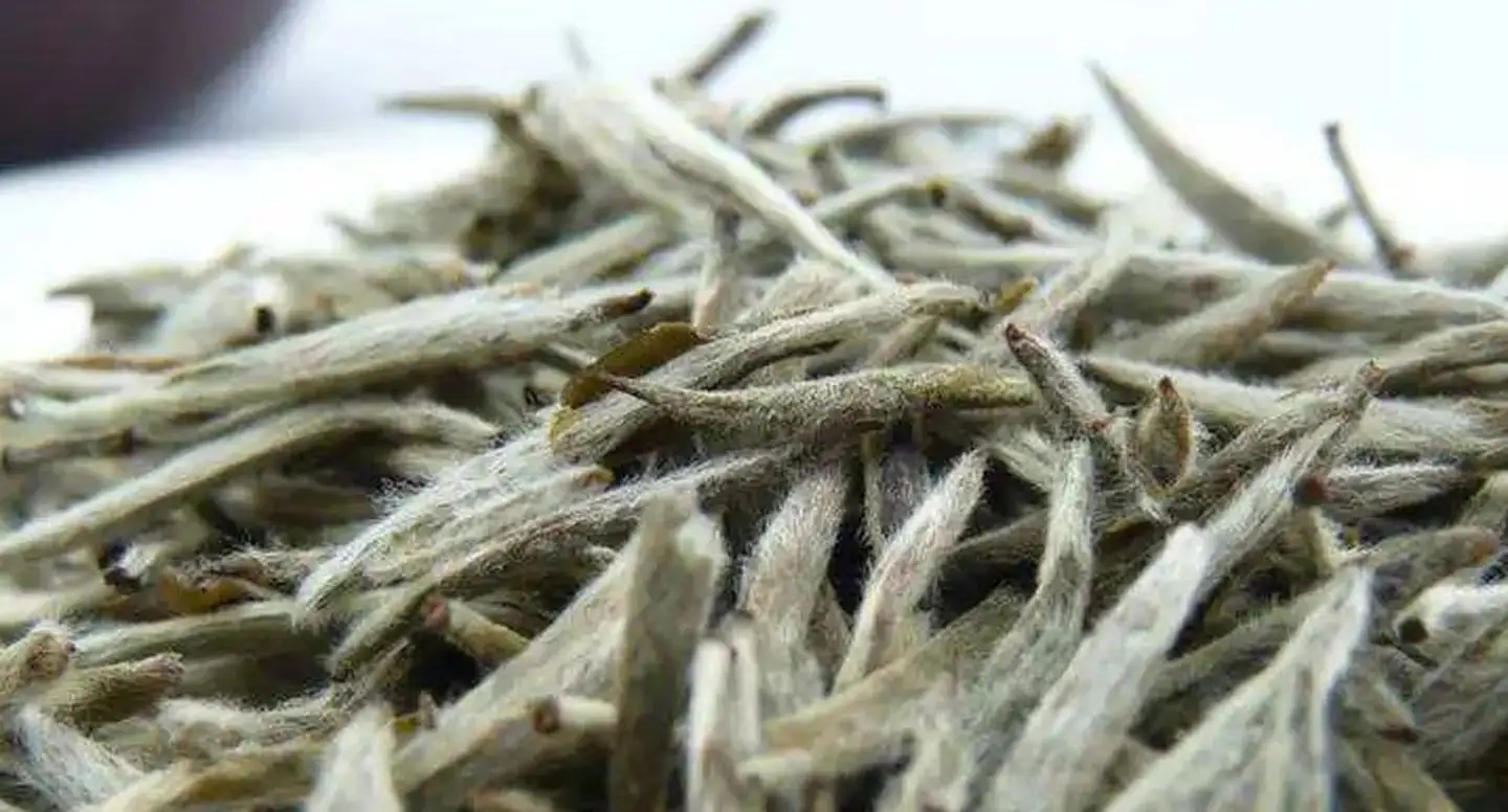茶毫越多的茶，品質(zhì)就越高嗎？