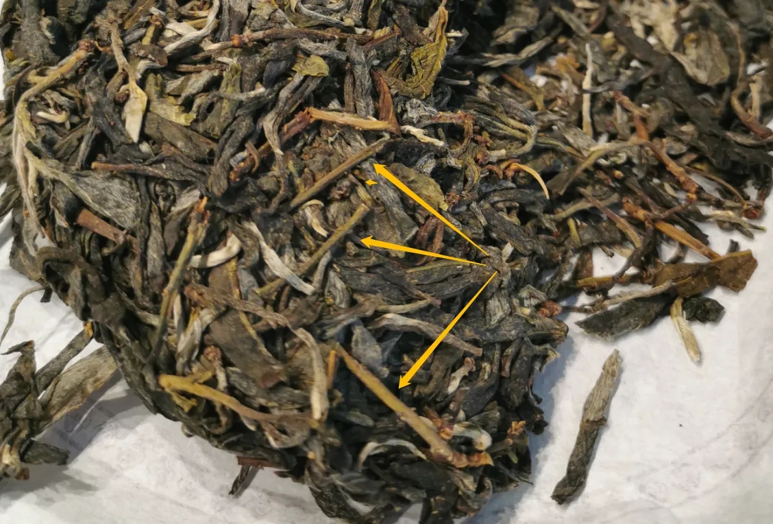 普洱茶的葉底有茶梗，就是茶不好嗎？