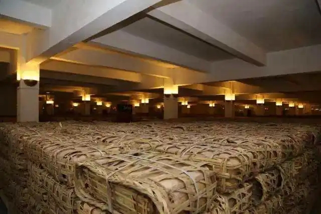 云南古樹普洱茶好在哪？相比小樹茶、臺地茶有何不同？