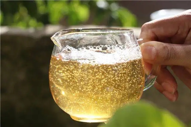 茶顏觀色”，看普洱茶條索里都蘊含著怎樣的“密碼”？