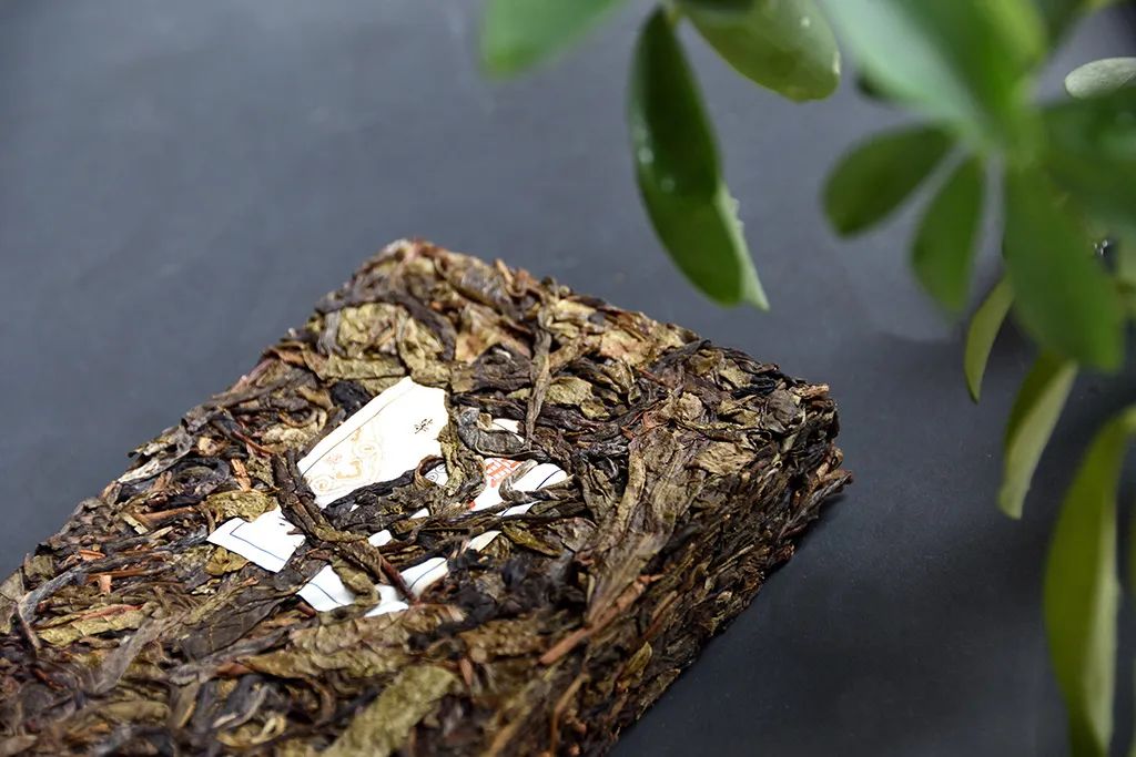 普洱茶古樹黃片，性價比超高的口糧茶，有骨有肉香甜順