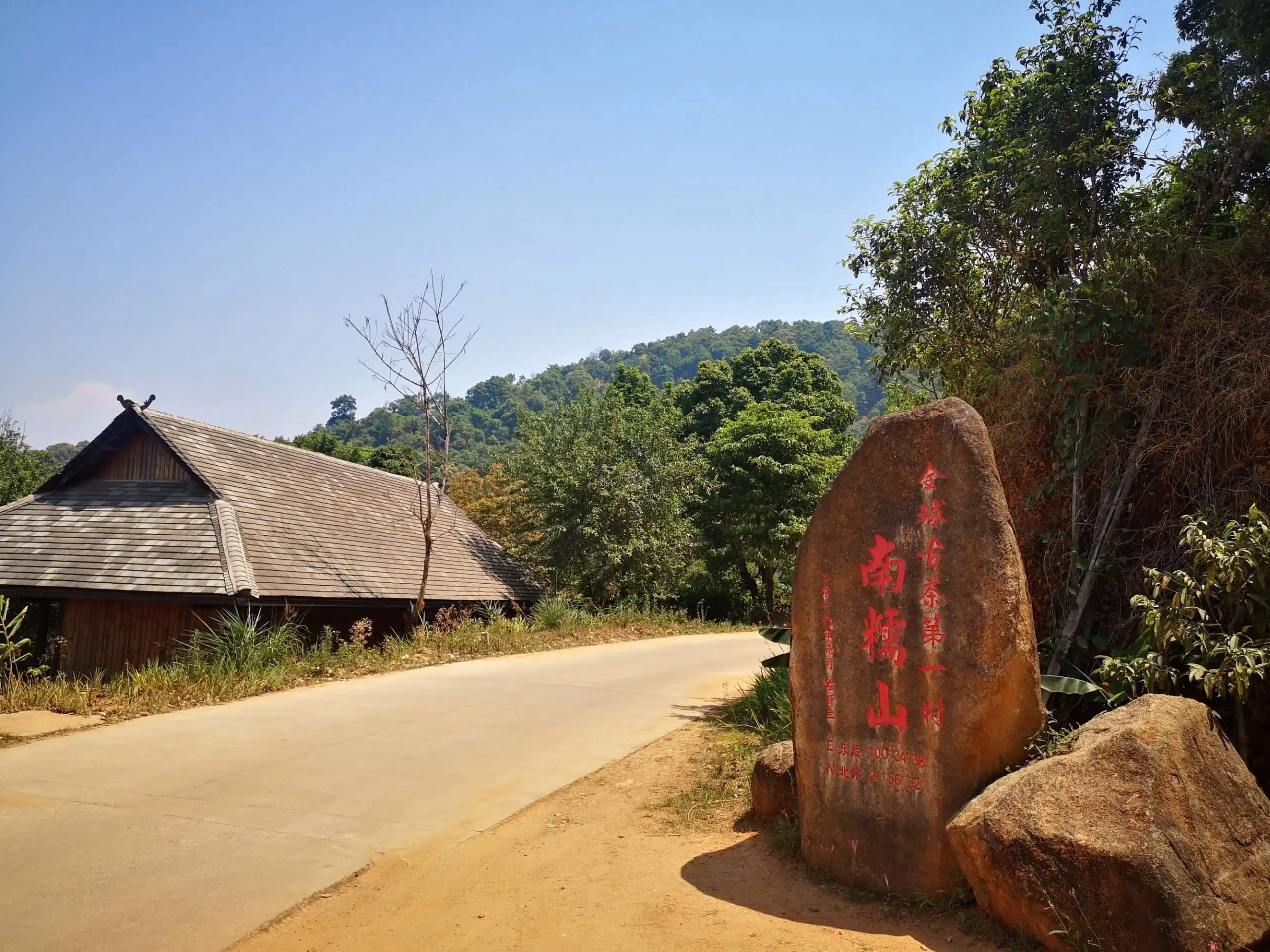 2023年南糯山古樹春茶品質(zhì)怎么樣？