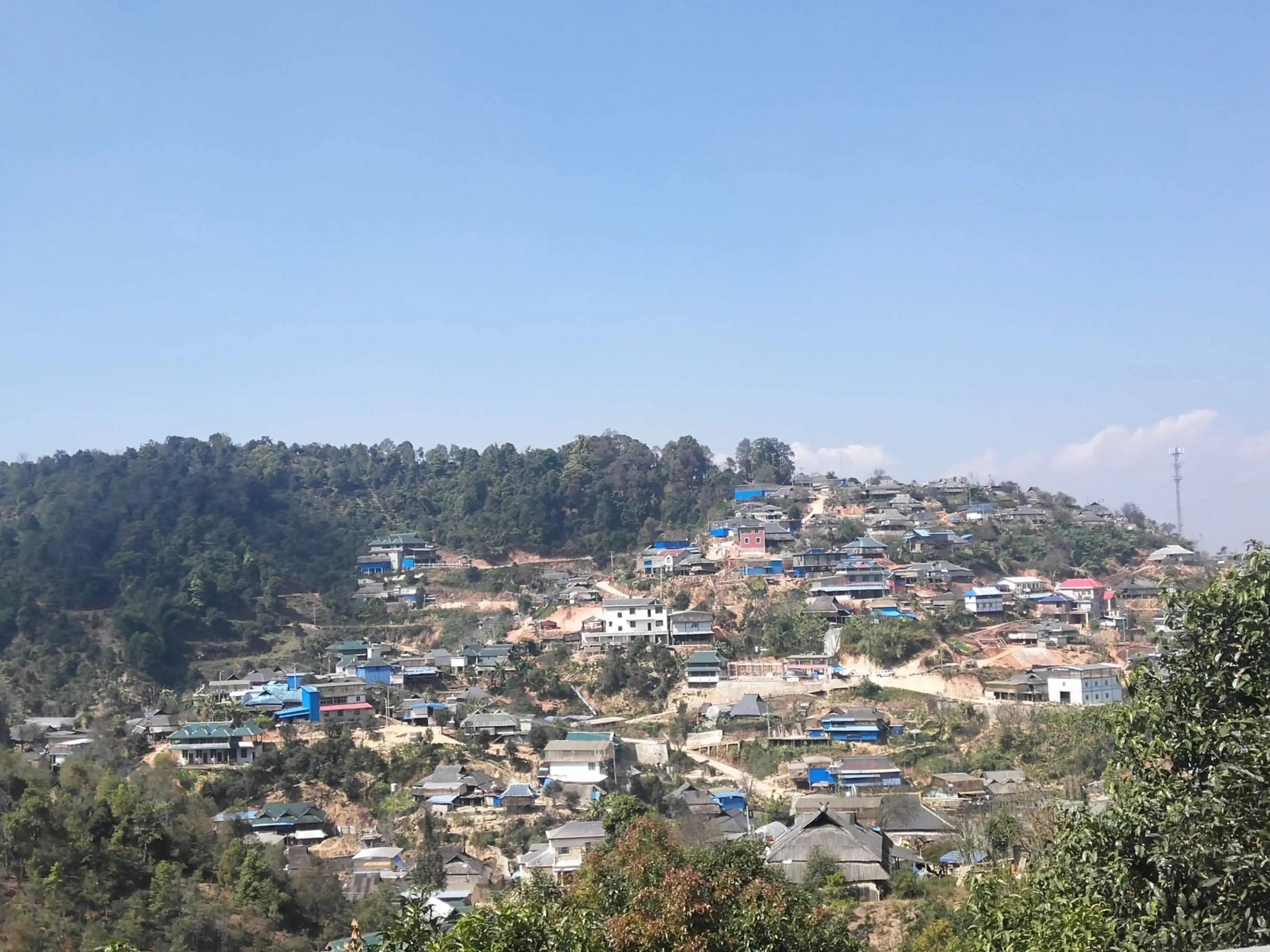 2023年帕沙古樹春茶品質(zhì)如何？