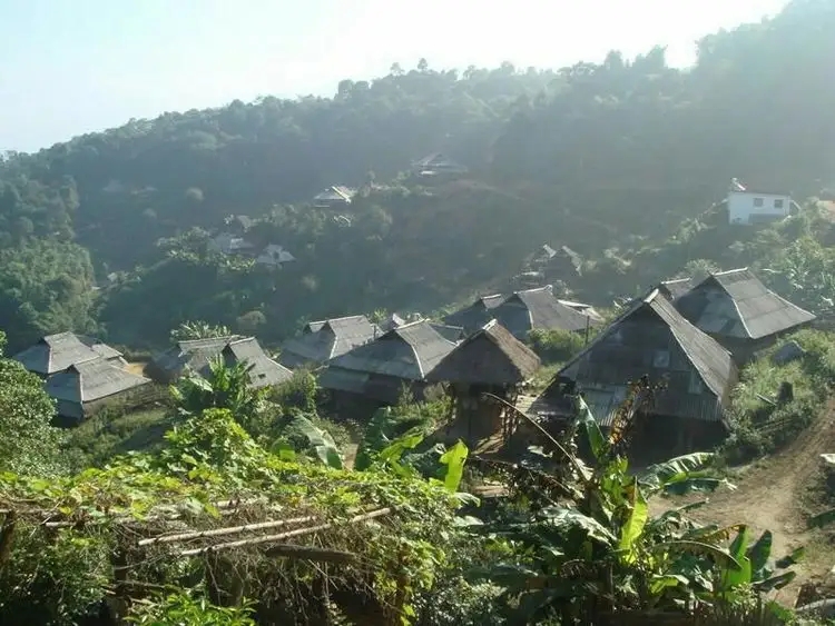 2023年帕沙古樹春茶多少一公斤？