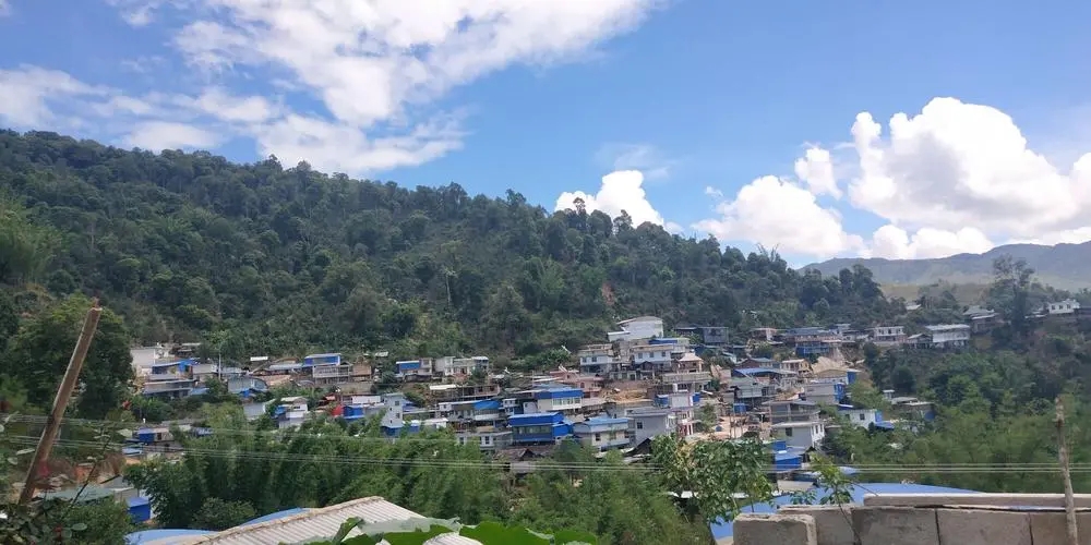 2023年那卡古樹春茶品質(zhì)如何？