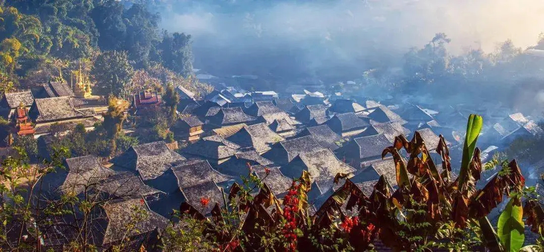 2023年景邁古樹春茶品質(zhì)如何？