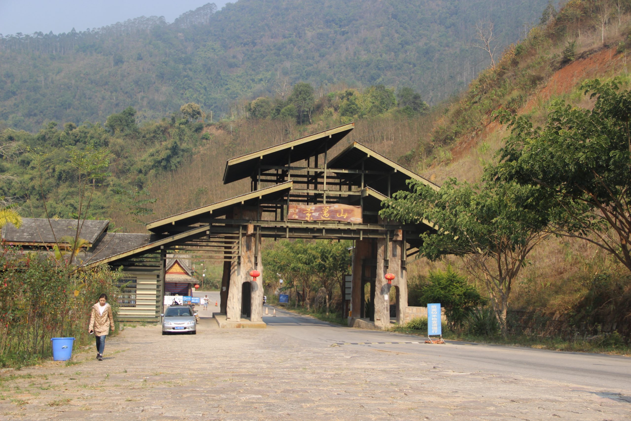 2023年景邁古樹春茶口感如何？