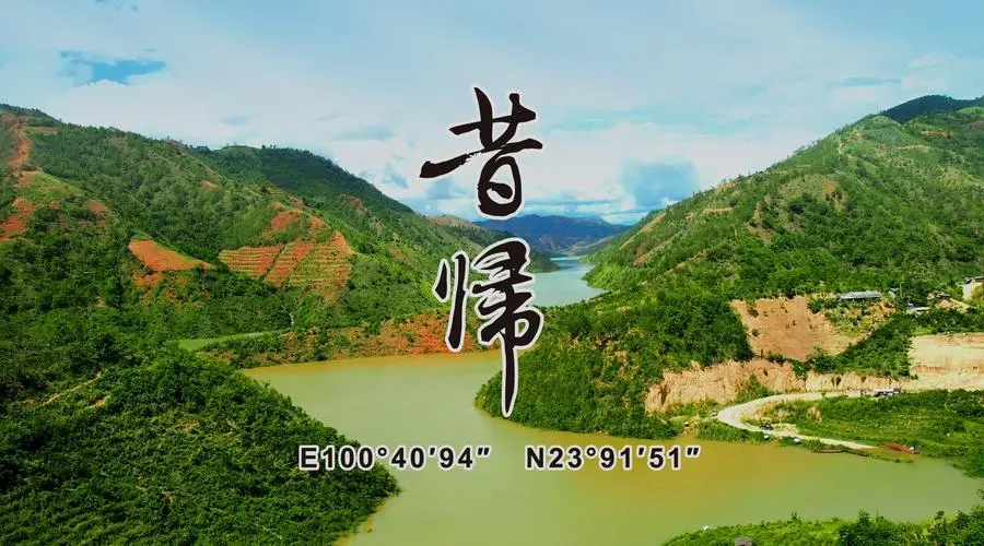 2023年昔歸古樹春茶品質(zhì)如何？