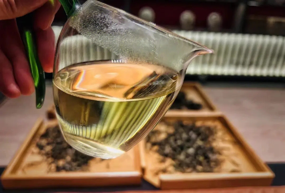 2023年鳳凰窩古樹(shù)春茶價(jià)格是多少？