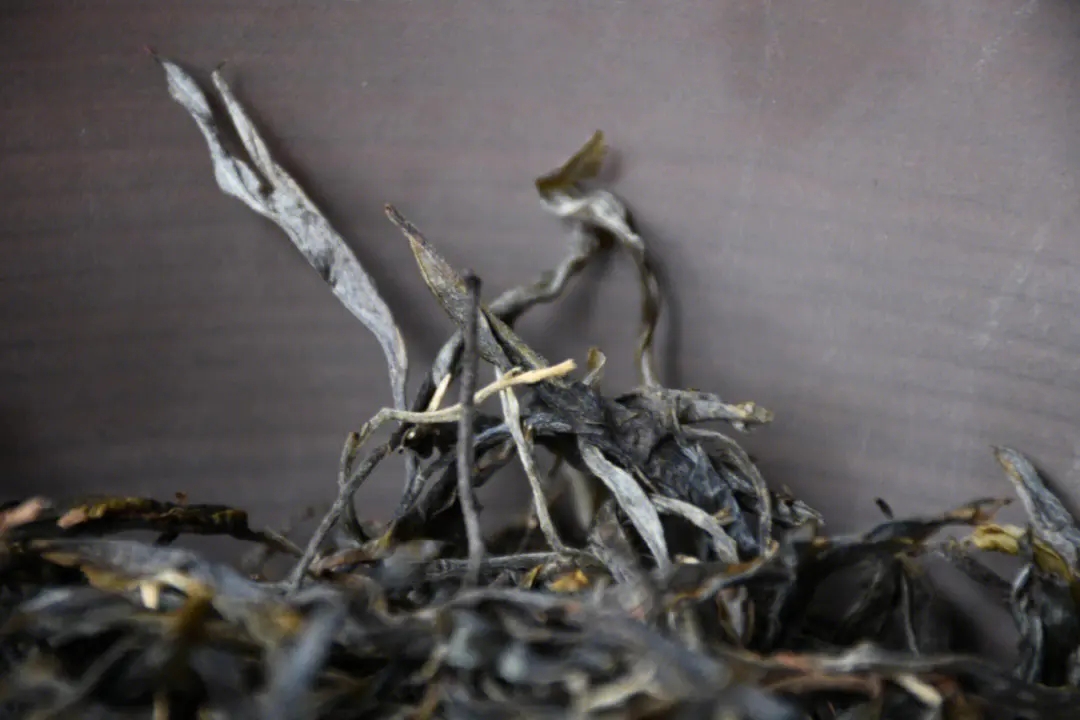 2023年正氣塘古樹(shù)春茶多少一公斤？