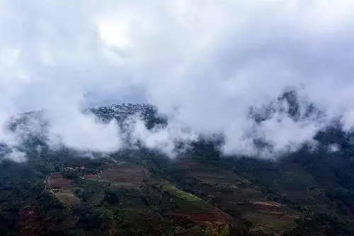 2023年勐庫(kù)大忠山古樹(shù)春茶口感如何？