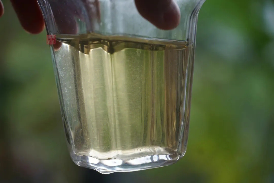 2023年多依樹古樹春茶價(jià)格是多少？