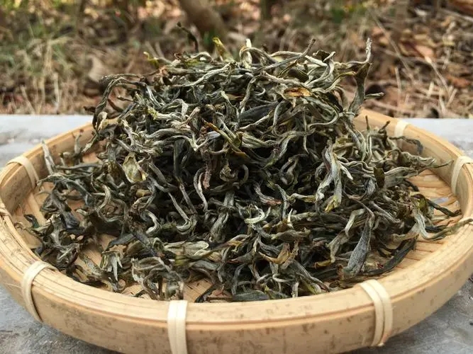 2023年易武張家灣古樹春茶品質(zhì)如何？