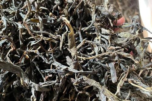 2023年鎮(zhèn)沅老烏山古樹春茶多少一公斤？