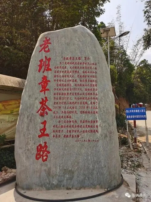 2024年老班章古樹(shù)春茶品質(zhì)如何？