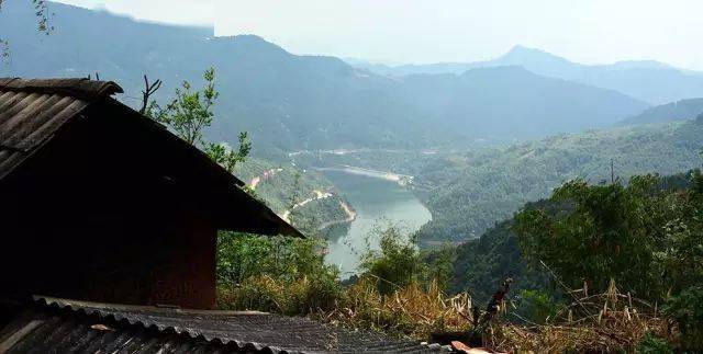 2024年磨烈古樹春茶價格多少？