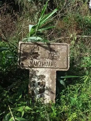 2025年蠻磚古樹春茶特點(diǎn)是什么？